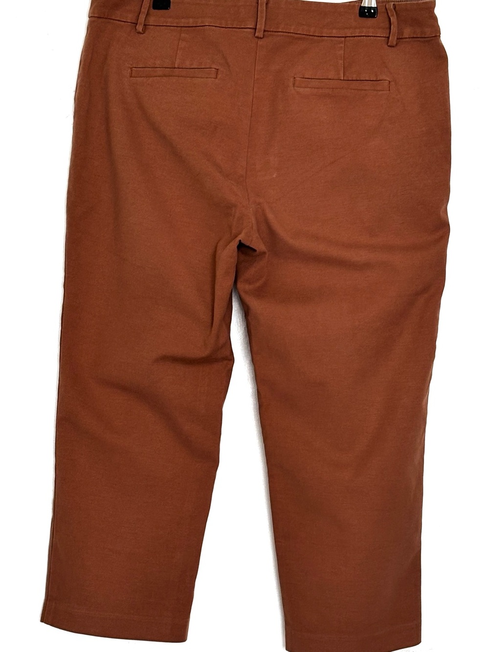 LOFT Riviera Slim Pants Cocoa Powder Size 14 Petite - Picture 4 of 5